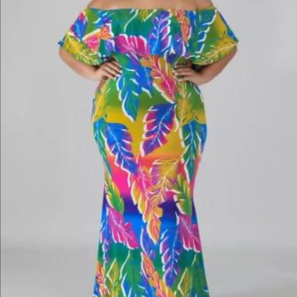 Plus Size Multi Colored Dress
